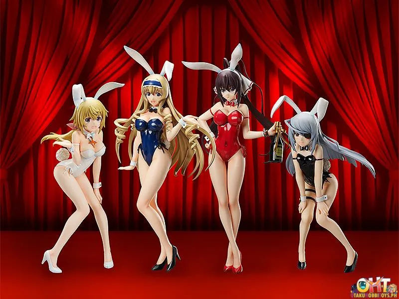 FREEing 1/4 Houki Shinonono: Bare Leg Bunny Ver.