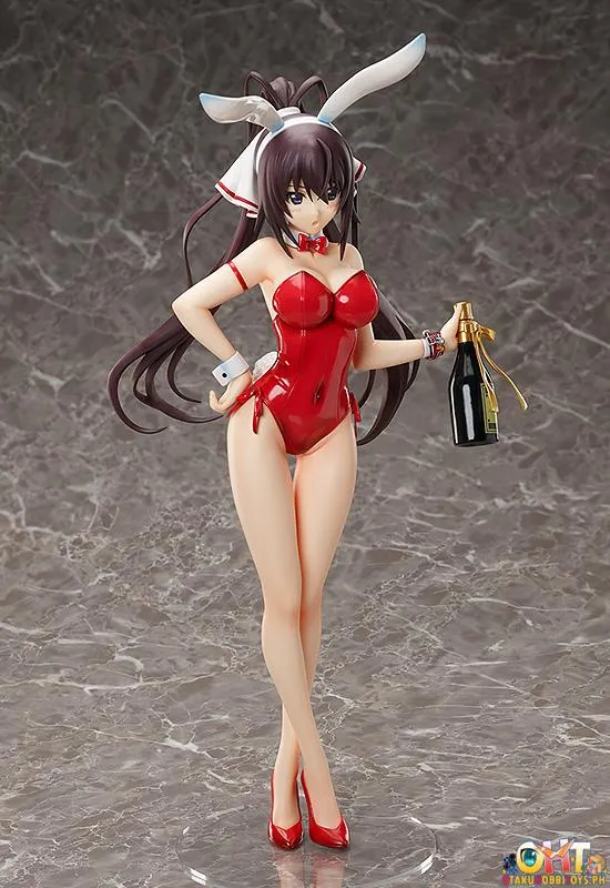 FREEing 1/4 Houki Shinonono: Bare Leg Bunny Ver.