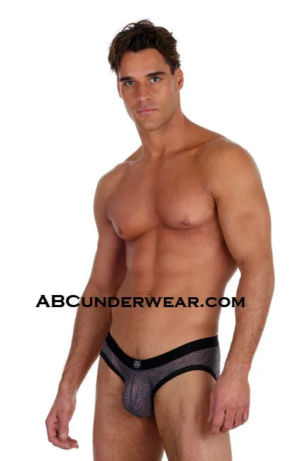 Gregg Homme Tigers Brief - Closeout