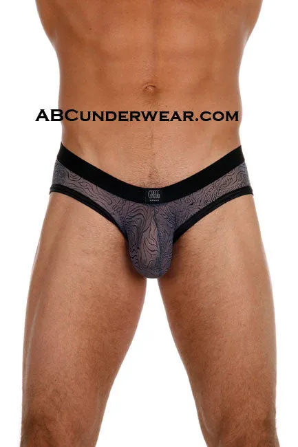 Gregg Homme Tigers Brief - Closeout